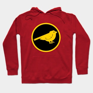 Sparrow Academy Hoodie